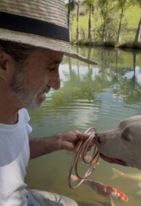 COLEIRAS "colar" DE COBRE PARA PET E ANIMAIS DE ESTIMAÇÃO " Cães e Gatos" coleiras "colar"de cobre para pet e animais de estimaÇÃo