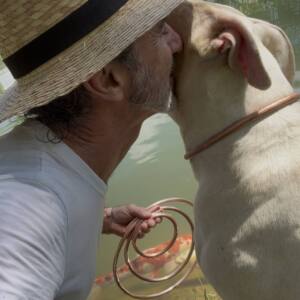 coleiras "colar"de cobre para pet e animais de estimaÇÃo